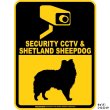 画像2: シェットランドシープドッグ＆防犯カメラ 監視 警戒中 英語 マグサイン(マグネット/ステッカー)：SECURITY CCTV ＆ SHETLAND SHEEPDOG [MAGSIGN] (2)