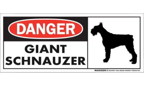 画像1: [MAGSIGN] ジャイアントシュナウザー マグネット＆ステッカー 英語 危ない 危険 DANGER GIANT SCHNAUZER 対象:車(ドア/ガラス/ボディ)・屋外(玄関扉/窓ガラス/メールポスト) 日本製 (1)