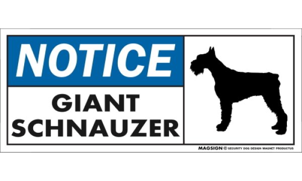 画像1: [MAGSIGN] ジャイアントシュナウザー マグネット＆ステッカー 英語 お知らせ NOTICE GIANT SCHNAUZER 対象:車(ドア/ガラス/ボディ)・屋外(玄関扉/窓ガラス/メールポスト) 日本製 (1)