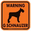 画像3: [MAGSIGN] WARNING G. SCHNAUZER マグネット＆ステッカー：ジャイアントシュナウザー(ホワイト/イエロー/オレンジ) 注意 英語 正方形 車＆屋外用(防水性/耐光性) 日本製 (3)