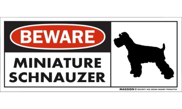 画像1: [MAGSIGN] ミニチュアシュナウザー マグネット＆ステッカー 犬 注意 英語 BEWARE MINIATURE SCHNAUZER 対象:車(ドア/ガラス/ボディ)・屋外(玄関扉/窓ガラス/メールポスト) 日本製 (1)