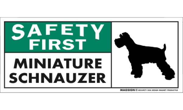 画像1: [MAGSIGN] ミニチュアシュナウザー マグネット＆ステッカー 英語 安全第一 SAFETY FIRST MINIATURE SCHNAUZER 対象:車(ドア/ガラス/ボディ)・屋外(玄関扉/窓ガラス/メールポスト) 日本製 (1)