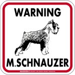 画像1: [MAGSIGN] WARNING M. SCHNAUZER マグネット＆ステッカー：ミニチュアシュナウザー(ホワイト/イエロー/オレンジ) 注意 英語 正方形 車＆屋外用(防水性/耐光性) 日本製 (1)