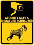 画像2: ミニチュアシュナウザー＆防犯カメラ 監視 警戒中 英語 マグサイン(マグネット/ステッカー)：SECURITY CCTV ＆ MINIATURE SCHNAUZER [MAGSIGN] (2)