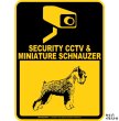 画像1: ミニチュアシュナウザー＆防犯カメラ 監視 警戒中 英語 マグサイン(マグネット/ステッカー)：SECURITY CCTV ＆ MINIATURE SCHNAUZER [MAGSIGN] (1)