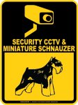 画像3: ミニチュアシュナウザー＆防犯カメラ 監視 警戒中 英語 マグサイン(マグネット/ステッカー)：SECURITY CCTV ＆ MINIATURE SCHNAUZER [MAGSIGN] (3)