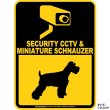 画像3: ミニチュアシュナウザー＆防犯カメラ 監視 警戒中 英語 マグサイン(マグネット/ステッカー)：SECURITY CCTV ＆ MINIATURE SCHNAUZER [MAGSIGN] (3)