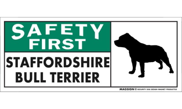 画像1: [MAGSIGN] スタッフォードシャーブルテリア マグネット＆ステッカー 英語 安全第一 SAFETY FIRST STAFFORDSHIRE BULL TERRIER 対象:車(ドア/ガラス/ボディ)・屋外(玄関扉/窓ガラス/メールポスト) 日本製 (1)