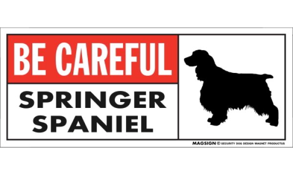 画像1: [MAGSIGN] スプリンガースパニエル マグネット＆ステッカー (犬)気を付けて 英語 BE CAREFUL SPRINGER SPANIEL 対象:車(ドア/ガラス/ボディ)・屋外(玄関扉/窓ガラス/メールポスト) 日本製 (1)