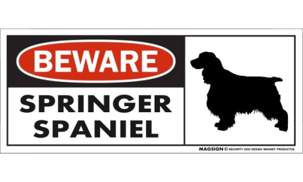 画像1: [MAGSIGN] スプリンガースパニエル マグネット＆ステッカー 犬 注意 英語 BEWARE SPRINGER SPANIEL 対象:車(ドア/ガラス/ボディ)・屋外(玄関扉/窓ガラス/メールポスト) 日本製 (1)