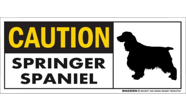 画像1: [MAGSIGN] スプリンガースパニエル マグネット＆ステッカー 英語 警戒 CAUTION SPRINGER SPANIEL 対象:車(ドア/ガラス/ボディ)・屋外(玄関扉/窓ガラス/メールポスト) 日本製 (1)