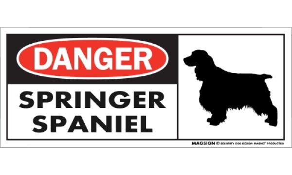 画像1: [MAGSIGN] スプリンガースパニエル マグネット＆ステッカー 英語 危ない 危険 DANGER SPRINGER SPANIEL 対象:車(ドア/ガラス/ボディ)・屋外(玄関扉/窓ガラス/メールポスト) 日本製 (1)