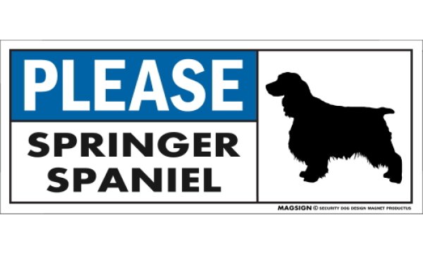 画像1: [MAGSIGN] スプリンガースパニエル マグネット＆ステッカー 犬 英語 喜ばせる 満足させる PLEASE SPRINGER SPANIEL 対象:車(ドア/ガラス/ボディ)・屋外(玄関扉/窓ガラス/メールポスト) 日本製 (1)