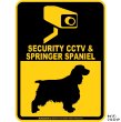 画像3: スプリンガースパニエル＆防犯カメラ 監視 警戒中 英語 マグサイン(マグネット/ステッカー)：SECURITY CCTV ＆ SPRINGER SPANIEL [MAGSIGN] (3)