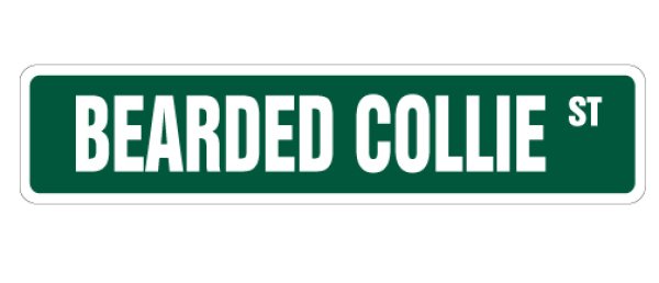 画像1: ビアデッドコリー 英語看板 アメリカ道路標識 ストリートサインボード：BEARDED COLLIE ST[MADE IN U.S.A] (1)