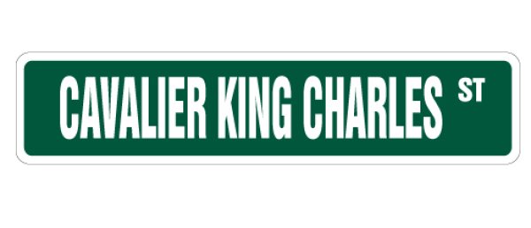 画像1: キャバリアキングチャールズ 英語看板 アメリカ道路標識 ストリートサインボード：CAVALIER KING CHARLES ST[MADE IN U.S.A] (1)