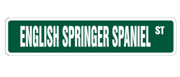 画像1: イングリッシュスプリンガースパニエル 英語看板 アメリカ道路標識 ストリートサインボード：ENGLISH SPRINGER SPANIEL ST[MADE IN U.S.A] (1)