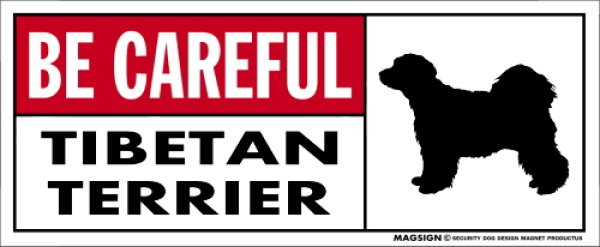 画像1: [MAGSIGN] チべタンテリア マグネット＆ステッカー (犬)気を付けて 英語 BE CAREFUL TIBETAN TERRIER 対象:車(ドア/ガラス/ボディ)・屋外(玄関扉/窓ガラス/メールポスト) 日本製 (1)
