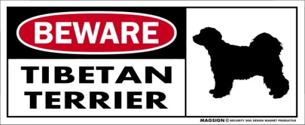 画像1: [MAGSIGN] チべタンテリア マグネット＆ステッカー 犬 注意 英語 BEWARE TIBETAN TERRIER 対象:車(ドア/ガラス/ボディ)・屋外(玄関扉/窓ガラス/メールポスト) 日本製 (1)