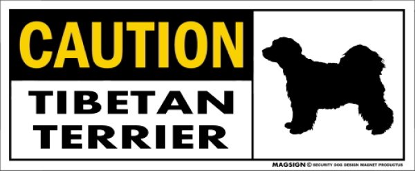 画像1: [MAGSIGN] チべタンテリア マグネット＆ステッカー 英語 警戒 CAUTION TIBETAN TERRIER 対象:車(ドア/ガラス/ボディ)・屋外(玄関扉/窓ガラス/メールポスト) 日本製 (1)