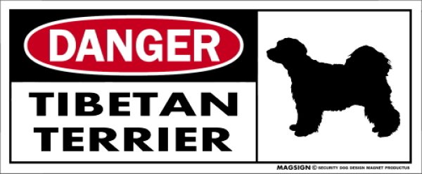 画像1: [MAGSIGN] チべタンテリア マグネット＆ステッカー 英語 危ない 危険 DANGER TIBETAN TERRIER 対象:車(ドア/ガラス/ボディ)・屋外(玄関扉/窓ガラス/メールポスト) 日本製 (1)