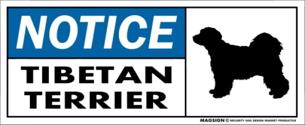 画像1: [MAGSIGN] チべタンテリア マグネット＆ステッカー 英語 お知らせ NOTICE TIBETAN TERRIER 対象:車(ドア/ガラス/ボディ)・屋外(玄関扉/窓ガラス/メールポスト) 日本製 (1)
