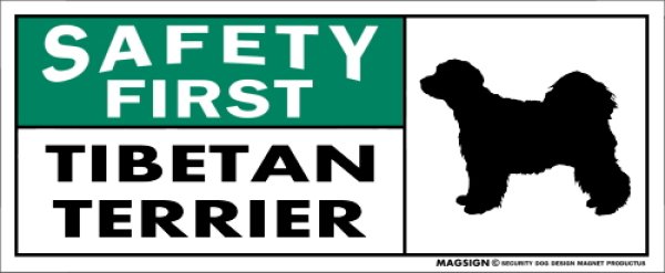 画像1: [MAGSIGN] チべタンテリア マグネット＆ステッカー 英語 安全第一 SAFETY FIRST TIBETAN TERRIER 対象:車(ドア/ガラス/ボディ)・屋外(玄関扉/窓ガラス/メールポスト) 日本製 (1)