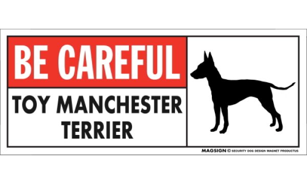 画像1: [MAGSIGN] トイマンチェスターテリア マグネット＆ステッカー (犬)気を付けて 英語 BE CAREFUL TOY MANCHESTER TERRIER 対象:車(ドア/ガラス/ボディ)・屋外(玄関扉/窓ガラス/メールポスト) 日本製 (1)