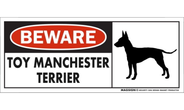 画像1: [MAGSIGN] トイマンチェスターテリア マグネット＆ステッカー 犬 注意 英語 BEWARE TOY MANCHESTER TERRIER 対象:車(ドア/ガラス/ボディ)・屋外(玄関扉/窓ガラス/メールポスト) 日本製 (1)