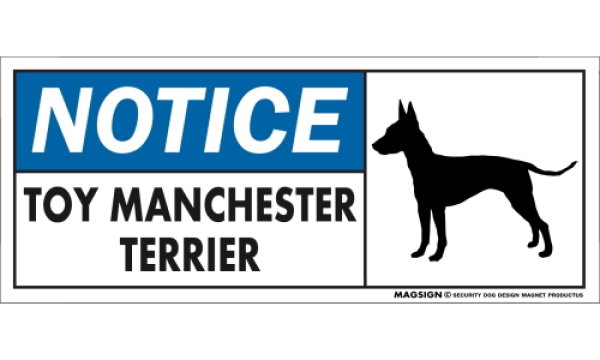 画像1: [MAGSIGN] トイマンチェスターテリア マグネット＆ステッカー 英語 お知らせ NOTICE TOY MANCHESTER TERRIER 対象:車(ドア/ガラス/ボディ)・屋外(玄関扉/窓ガラス/メールポスト) 日本製 (1)