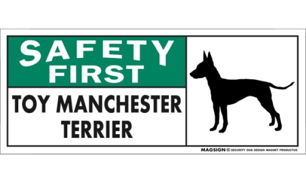 画像1: [MAGSIGN] トイマンチェスターテリア マグネット＆ステッカー 英語 安全第一 SAFETY FIRST TOY MANCHESTER TERRIER 対象:車(ドア/ガラス/ボディ)・屋外(玄関扉/窓ガラス/メールポスト) 日本製 (1)