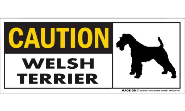 画像1: [MAGSIGN] ウェルシュテリア マグネット＆ステッカー 英語 警戒 CAUTION WELSH TERRIER 対象:車(ドア/ガラス/ボディ)・屋外(玄関扉/窓ガラス/メールポスト) 日本製 (1)