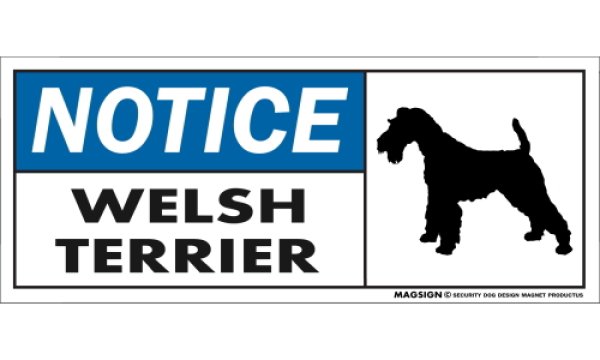 画像1: [MAGSIGN] ウェルシュテリア マグネット＆ステッカー 英語 お知らせ NOTICE WELSH TERRIER 対象:車(ドア/ガラス/ボディ)・屋外(玄関扉/窓ガラス/メールポスト) 日本製 (1)