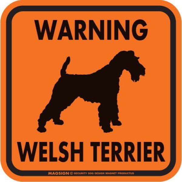 画像3: [MAGSIGN] WARNING WELSH TERRIER マグネット＆ステッカー：ウェルシュテリア(ホワイト/イエロー/オレンジ) 注意 英語 正方形 車＆屋外用(防水性/耐光性) 日本製 (3)