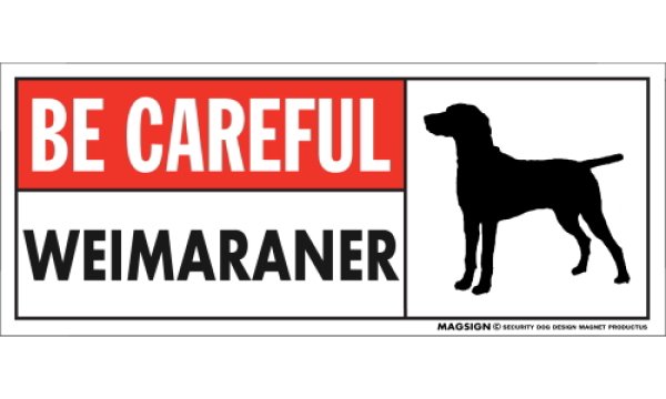 画像1: [MAGSIGN] ワイマラナー マグネット＆ステッカー (犬)気を付けて 英語 BE CAREFUL WEIMARANER 対象:車(ドア/ガラス/ボディ)・屋外(玄関扉/窓ガラス/メールポスト) 日本製 (1)