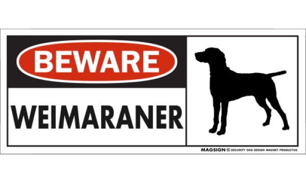 画像1: [MAGSIGN] ワイマラナー マグネット＆ステッカー 犬 注意 英語 BEWARE WEIMARANER 対象:車(ドア/ガラス/ボディ)・屋外(玄関扉/窓ガラス/メールポスト) 日本製 (1)