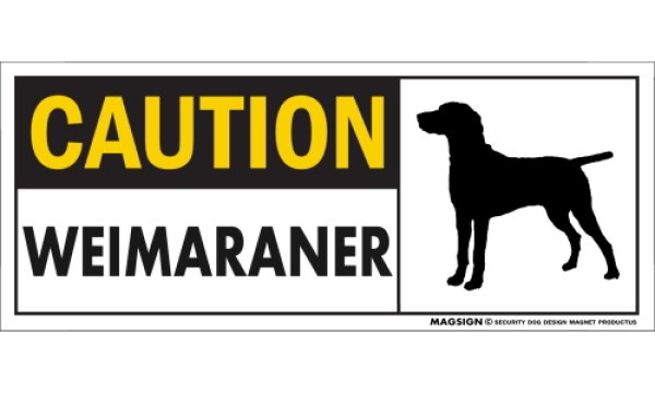 画像1: [MAGSIGN] ワイマラナー マグネット＆ステッカー 英語 警戒 CAUTION WEIMARANER 対象:車(ドア/ガラス/ボディ)・屋外(玄関扉/窓ガラス/メールポスト) 日本製 (1)