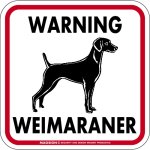 画像1: [MAGSIGN] WARNING WEIMARANER マグネット＆ステッカー：ワイマラナー(ホワイト/イエロー/オレンジ) 注意 英語 正方形 車＆屋外用(防水性/耐光性) 日本製 (1)