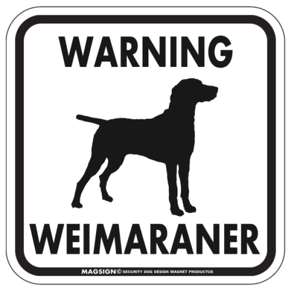 画像1: [MAGSIGN] WARNING WEIMARANER マグネット＆ステッカー：ワイマラナー(ホワイト/イエロー/オレンジ) 注意 英語 正方形 車＆屋外用(防水性/耐光性) 日本製 (1)