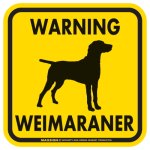画像3: [MAGSIGN] WARNING WEIMARANER マグネット＆ステッカー：ワイマラナー(ホワイト/イエロー/オレンジ) 注意 英語 正方形 車＆屋外用(防水性/耐光性) 日本製 (3)