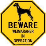 画像2: [MAGSIGN] ワイマラナー 注意 英語 英文 ローマ字 オペレーション中 動作中 オクタゴン(八角形)マグネット＆ステッカー BEWARE WEIMARANER IN OPERATION 車/屋外用 日本製 (2)