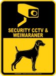 画像2: ワイマラナー＆防犯カメラ 監視 警戒中 英語 マグサイン(マグネット/ステッカー)：SECURITY CCTV ＆ WEIMARANER [MAGSIGN] (2)