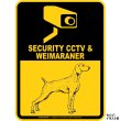 画像2: ワイマラナー＆防犯カメラ 監視 警戒中 英語 マグサイン(マグネット/ステッカー)：SECURITY CCTV ＆ WEIMARANER [MAGSIGN] (2)