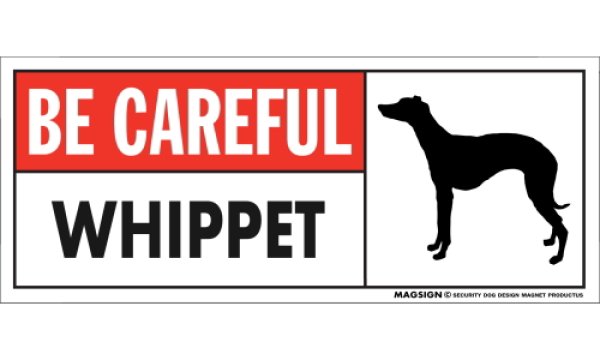 画像1: [MAGSIGN] ウィペット マグネット＆ステッカー (犬)気を付けて 英語 BE CAREFUL WHIPPET 対象:車(ドア/ガラス/ボディ)・屋外(玄関扉/窓ガラス/メールポスト) 日本製 (1)