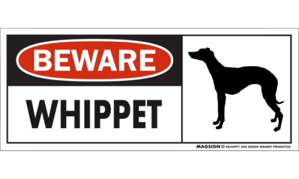 画像1: [MAGSIGN] ウィペット マグネット＆ステッカー 犬 注意 英語 BEWARE WHIPPET 対象:車(ドア/ガラス/ボディ)・屋外(玄関扉/窓ガラス/メールポスト) 日本製 (1)