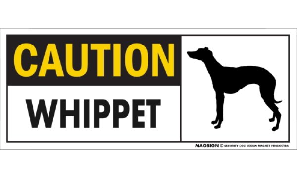 画像1: [MAGSIGN] ウィペット マグネット＆ステッカー 英語 警戒 CAUTION WHIPPET 対象:車(ドア/ガラス/ボディ)・屋外(玄関扉/窓ガラス/メールポスト) 日本製 (1)