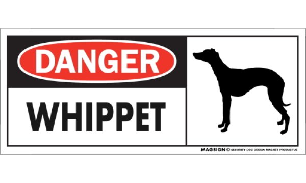 画像1: [MAGSIGN] ウィペット マグネット＆ステッカー 英語 危ない 危険 DANGER WHIPPET 対象:車(ドア/ガラス/ボディ)・屋外(玄関扉/窓ガラス/メールポスト) 日本製 (1)