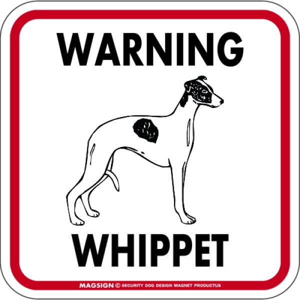 画像1: [MAGSIGN] WARNING WHIPPET マグネット＆ステッカー：ウィペット(ホワイト/イエロー/オレンジ) 注意 英語 正方形 車＆屋外用(防水性/耐光性) 日本製 (1)