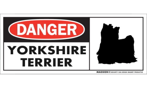 画像1: [MAGSIGN] ヨークシャーテリア(フルコート) マグネット＆ステッカー 英語 危ない 危険 DANGER YORKSHIRE TERRIER 対象:車(ドア/ガラス/ボディ)・屋外(玄関扉/窓ガラス/メールポスト) 日本製 (1)