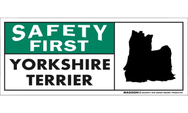 画像1: [MAGSIGN] ヨークシャーテリア(フルコート) マグネット＆ステッカー 英語 安全第一 SAFETY FIRST YORKSHIRE TERRIER 対象:車(ドア/ガラス/ボディ)・屋外(玄関扉/窓ガラス/メールポスト) 日本製 (1)